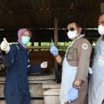 Mentan SYL Vaksinasi PMK Perdana di Jateng dan Apel Siaga